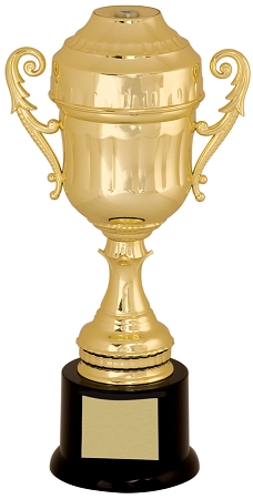 Century Award Presentation Cup Trophy FREE Engraving 5 sizes Cooking Rugby Swim 