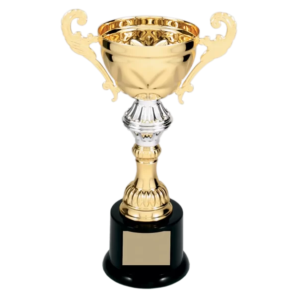 Completed Metal Cup Trophy on Plastic Base